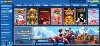Pandido Casino Casino